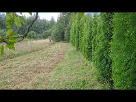 Видео: Вездекос ТС-1000 в действии