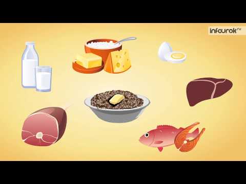 Видео: Биология (8 класс) - Витамины и их роль в организме человека