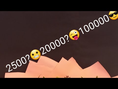 Видео: сколько получают флористы на праздники?🤷‍♂️