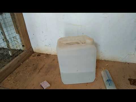 Видео: дезинфекция курятника формалином