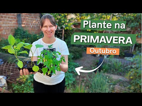 Видео: Что посадить весной в ОКТЯБРЕ 2025? 📅 Календарь посадок 🌱