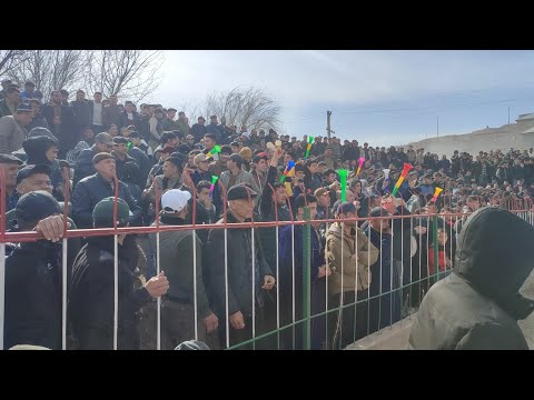 Видео: Хиштхона ва Ошоба 23.02.2025