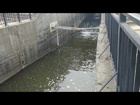 Видео: Плотина на речке Патрушиха