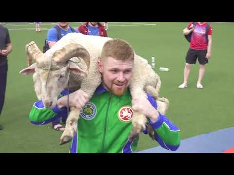 Видео: Дуслык Сабантуе. Азнакай-Самара 2022