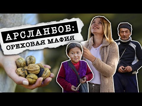 Видео: ЖУТКИЙ ореховый бизнес Кыргызстана. На пороге экологической КАТАСТРОФЫ!!!