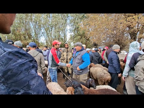 Видео: Молбозори Нуроншоҳ н Мастчоҳ 05 11 2025г