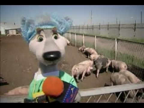 Видео: 🐷Город поросят - 24 - По секрету всему свету (Шишкин лес)