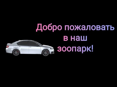 Видео: Кого выбрать: игроманку или шал*ву? История от подписчика.