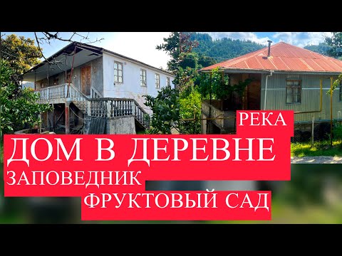 Видео: Дом в деревне с рекой на участке, у заповедника. Загородная недвижимость на побережье в Грузии