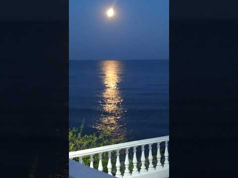 Видео: ♥️ Ты Из Моей Сказки и Я Люблю Тебя...