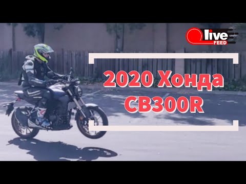 Видео: Хонда CB300R 2020 года / 2020 Honda CB300R — Честный обзор и оценка