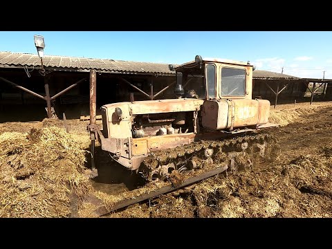 Видео: Вы спрашивали куда пропал Коля!? Мы нашли его!