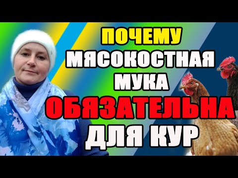 Видео: Почему МЯСОКОСТНАЯ МУКА обязательна в рационе кур несушек.