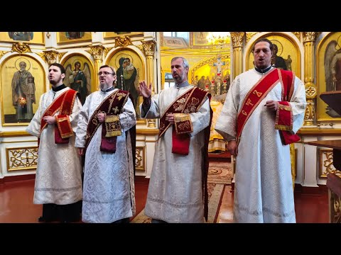 Видео: Литургия за упокой иерея Николая Трубина и всех пастырей Елисаветградских
