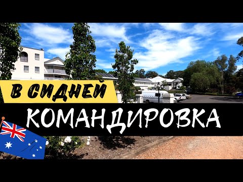 Видео: Командировка в СИДНЕЙ, Австралия | Жизнь в Австралии