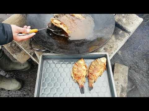 Видео: Жареный карась на сковороде из диска бороны