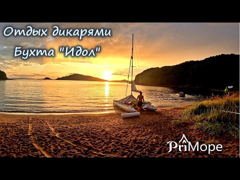 Видео: Отдых дикарями с детьми и котом #приморскийкрай #андреевка  #морскойзаповедник #море #nature #travel