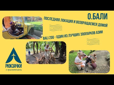 Видео: Bali Zoo один из лучших зоопарков Азии и по совместительству наш крайний день на острове!