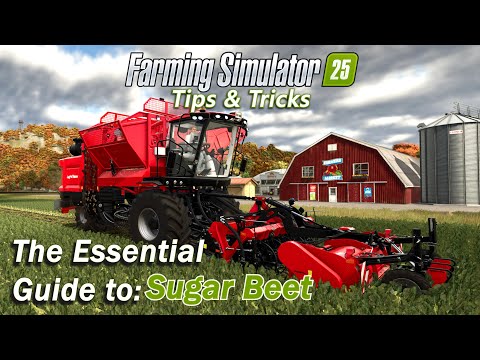 Видео: Полное руководство по сахарной свекле в Farming Simulator 25