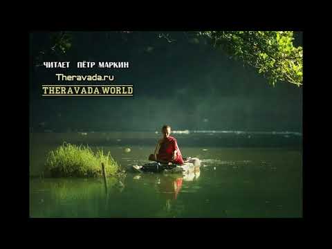 Видео: Тихая лесная заводь. Медитация прозрения - Аджан Чаа (Буддизм Тхеравада)