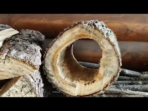 Видео: Птичья многоэтажка 