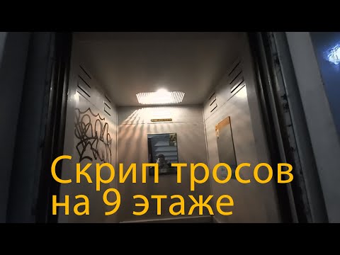Видео: Скрип тросов на 9 этаже! Лифт ЦРЗМ 60-ых модерн под Парнас