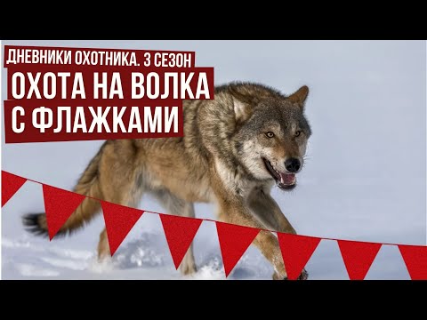 Видео: ОХОТА НА ВОЛКА С ФЛАЖКАМИ / Дневники охотника #3 / #8