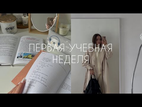 Видео: ПЕРВАЯ УЧЕБНАЯ НЕДЕЛЯ - vlog