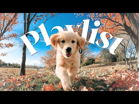 Видео: [𝐏𝐥𝐚𝐲𝐋𝐢𝐬ᴛ] 10-часовой осенний плейлист без рекламы для учебы и работы 🎧 по просьбе владельца кафе