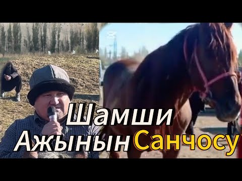 Видео: Ажынын санчосунун баласы +996-554-140-512