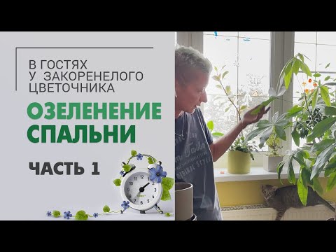 Видео: Озеленение спальни: пересадка папоротников и порядок на 2 этаже. Часть1