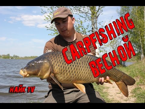 Видео: НА ЧТО ЛОВИТЬ КАРПА В МАЕ? Прикормка весной для холодной воды.