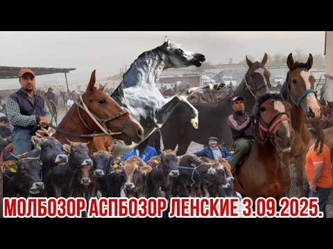 Видео: Аспбозор Молбозор Денские 3 сентября 2025 г.