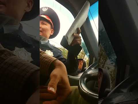Видео: 08.09.22 г. Пришахтинск. Когда развод не удался. Шторки.