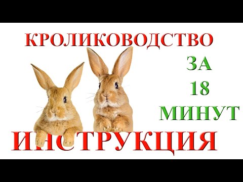 Видео: Кролики от "а" до "я". С чего начать разведение кроликов (кролиководство). Пошаговая инструкция.