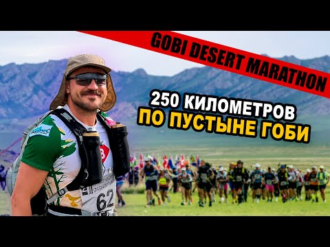 Видео: GOBI MARCH 2024 Монголия глазами бегуна