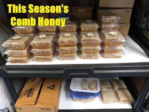 Видео: Переработка сотового мёда: «Как я это делаю»