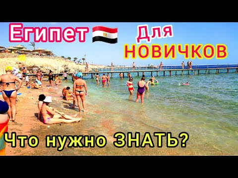 Видео: ПЕРВЫЙ РАЗ в ЕГИПТЕ 🇪🇬  Что нужно знать неопытному ТУРИСТУ. СОВЕТЫ новичкам