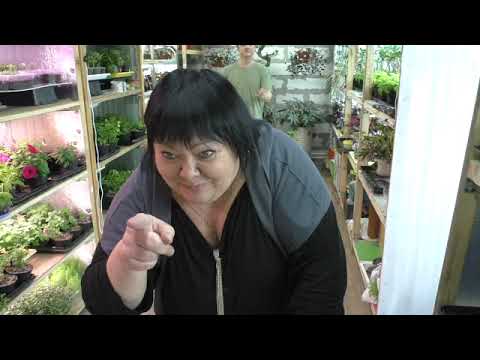 Видео: по просьбам подписчиков))) видео с инет корпоратива