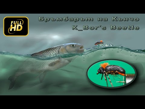 Видео: Бръмбарът на Кънчо - K_Bor's Foam Beetle