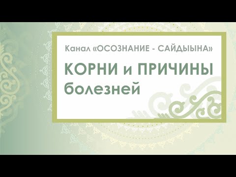 Видео: Прямой эфир на тему: "Корни и причины болезней"