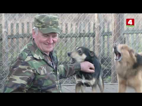 Видео: Семья из Каменецкого района выхаживает бездомных животных