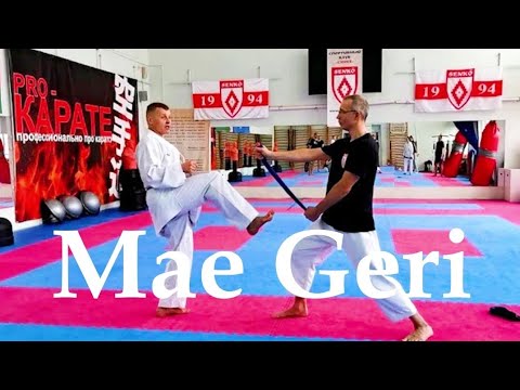 Видео: Mae geri, the formation of an optimal trajectory and development of kick force. Мае Гери.