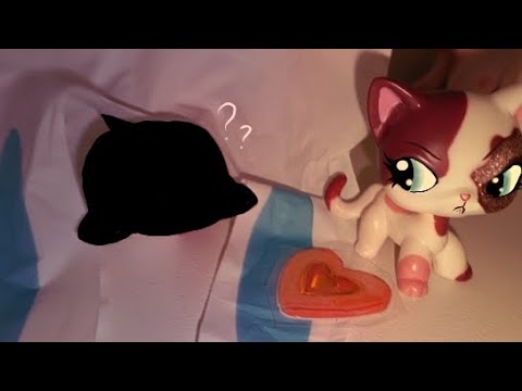 Видео: Lps: распаковка посылки с петом