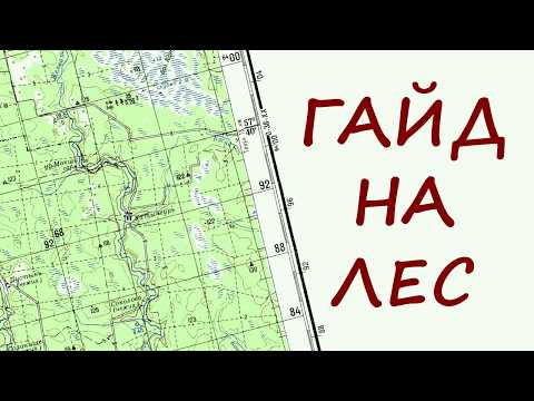 Видео: Лес: Ультимативный гайд на походы