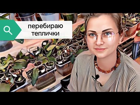 Видео: устройство теплиц для черенков растений и разговоры о разном