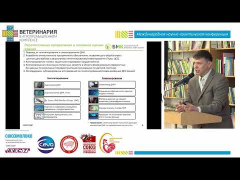 Видео: Рудь А.И. Племенная работа в свиноводстве: организация и проведение в современных условиях
