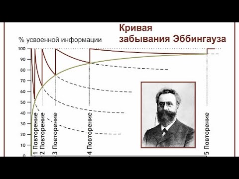 Видео: Как запомнить? Как не забыть? Кривая забывания Эббингауза