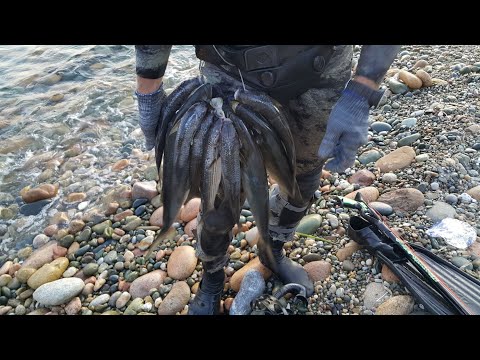 Видео: Подводная охота в Греции (кефаль)