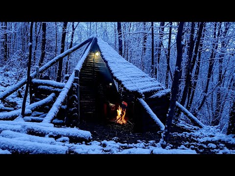 Видео: 3-х дневный зимний кемпинг в примитивном приюте с моей собакой, фильм о природе